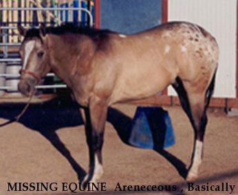 MISSING EQUINE  Areneceous , Basically a Dreamer, Skip-A-Bar-Trademark, Socks, Tully, Twister, Dial,  Near unknown, SC, 00000